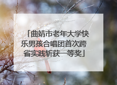 曲靖市老年大学快乐男孩合唱团首次跨省实践斩获一等奖