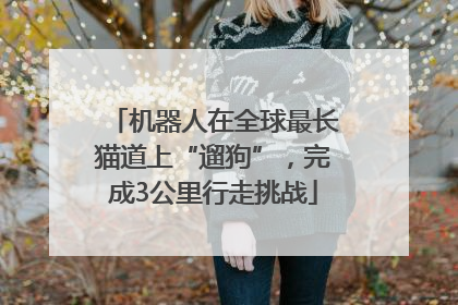 机器人在全球最长猫道上“遛狗”，完成3公里行走挑战