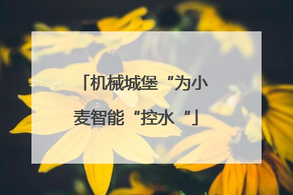 机械城堡“为小麦智能“控水“