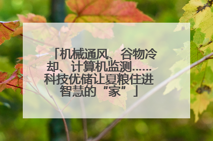 机械通风、谷物冷却、计算机监测……科技优储让夏粮住进智慧的“家”