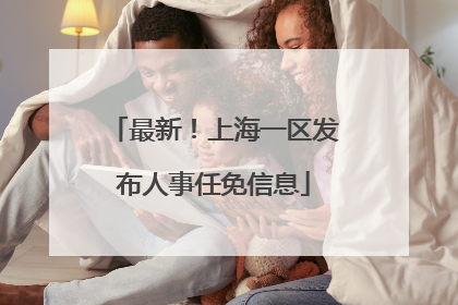 最新！上海一区发布人事任免信息