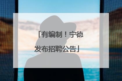 有编制！宁德发布招聘公告