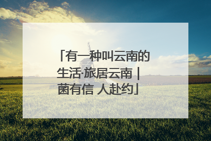 有一种叫云南的生活·旅居云南｜菌有信 人赴约