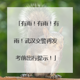 有雨！有雨！有雨！武汉交警再发考前出行提示！