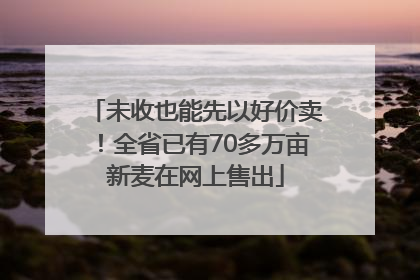 未收也能先以好价卖！全省已有70多万亩新麦在网上售出