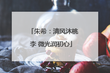 朱希：清风沐桃李 微光润初心