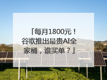 每月1800元！谷歌推出最贵AI全家桶，谁买单？