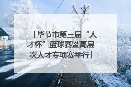 毕节市第三届“人才杯”篮球赛暨高层次人才专项赛举行