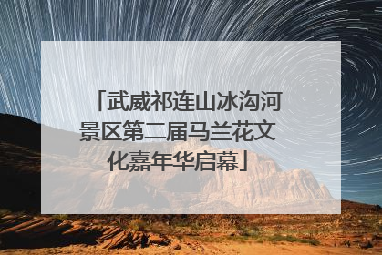武威祁连山冰沟河景区第二届马兰花文化嘉年华启幕
