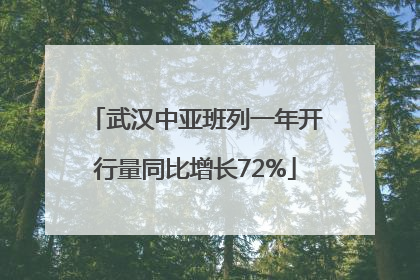 武汉中亚班列一年开行量同比增长72%