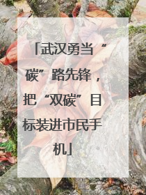 武汉勇当“碳”路先锋，把“双碳”目标装进市民手机