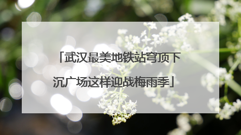 武汉最美地铁站穹顶下沉广场这样迎战梅雨季