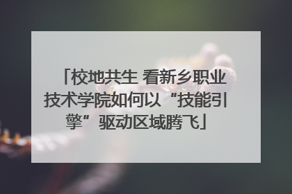 校地共生 看新乡职业技术学院如何以“技能引擎”驱动区域腾飞