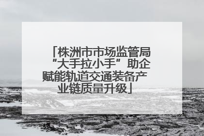 株洲市市场监管局“大手拉小手”助企赋能轨道交通装备产业链质量升级