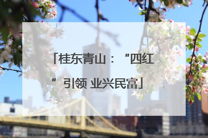 桂东青山：“四红”引领 业兴民富