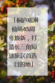 桐庐瑶琳仙境45周年焕新，打造长三角短途旅居首选目的地