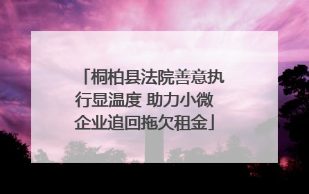 桐柏县法院善意执行显温度 助力小微企业追回拖欠租金