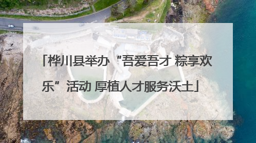 桦川县举办“吾爱吾才 粽享欢乐”活动 厚植人才服务沃土