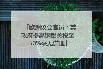 欧洲议会官员：美政府提高钢铝关税至50%毫无道理