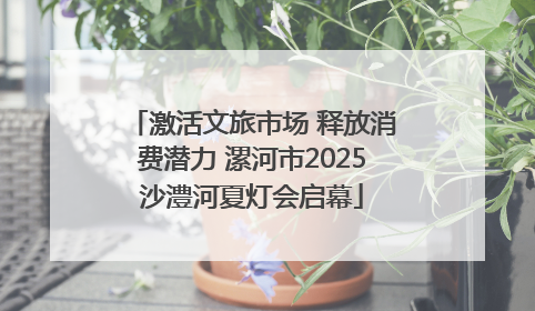 激活文旅市场 释放消费潜力 漯河市2025沙澧河夏灯会启幕