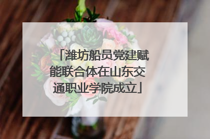潍坊船员党建赋能联合体在山东交通职业学院成立