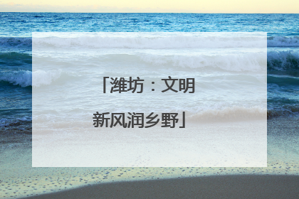潍坊：文明新风润乡野