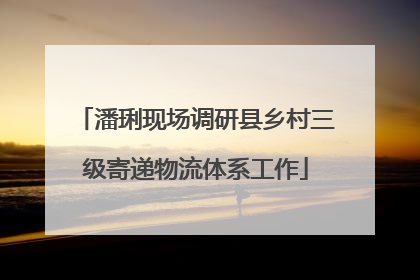 潘琍现场调研县乡村三级寄递物流体系工作