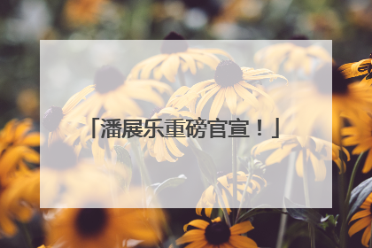 潘展乐重磅官宣！