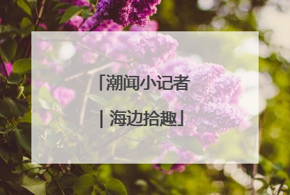 潮闻小记者｜海边拾趣