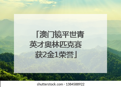 澳门镜平世青英才奥林匹克赛获2金1荣誉