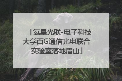 氦星光联-电子科技大学百G通信光电联合实验室落地眉山