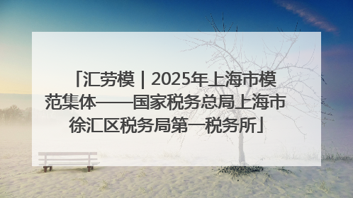 汇劳模｜2025年上海市模范集体——国家税务总局上海市徐汇区税务局第一税务所