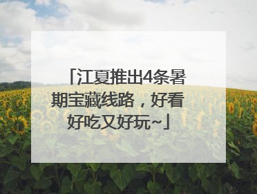 江夏推出4条暑期宝藏线路，好看好吃又好玩~