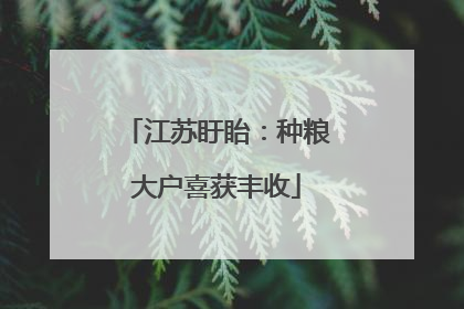 江苏盱眙：种粮大户喜获丰收