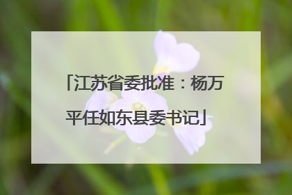 江苏省委批准：杨万平任如东县委书记