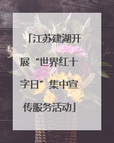 江苏建湖开展“世界红十字日”集中宣传服务活动