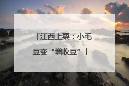 江西上栗：小毛豆变“增收豆”
