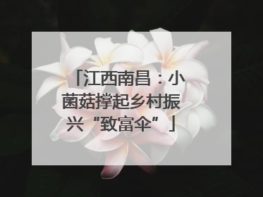江西南昌：小菌菇撑起乡村振兴“致富伞”