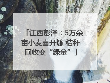 江西彭泽：5万余亩小麦喜开镰 秸秆回收变“绿金”