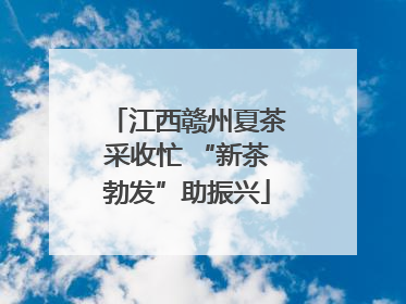 江西赣州夏茶采收忙 “新茶勃发”助振兴
