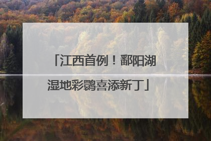 江西首例！鄱阳湖湿地彩鹮喜添新丁
