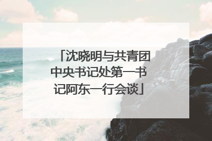 沈晓明与共青团中央书记处第一书记阿东一行会谈