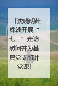 沈晓明赴株洲开展“七一”走访慰问并为基层党支部讲党课