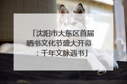 沈阳市大东区首届晒书文化节盛大开幕：千年文脉遇书