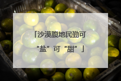 沙漠腹地民勤可“盐”可“甜”