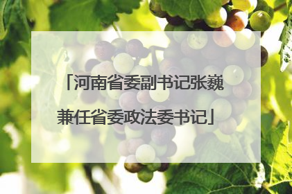 河南省委副书记张巍兼任省委政法委书记