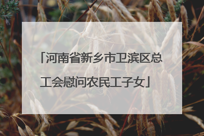 河南省新乡市卫滨区总工会慰问农民工子女
