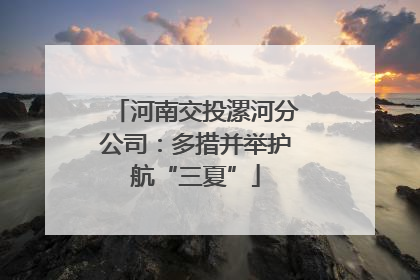 河南交投漯河分公司：多措并举护航“三夏”