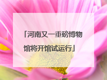 河南又一重磅博物馆将开馆试运行