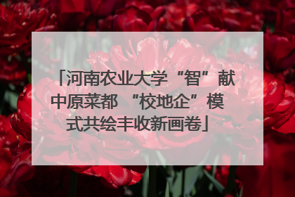 河南农业大学“智”献中原菜都 “校地企”模式共绘丰收新画卷